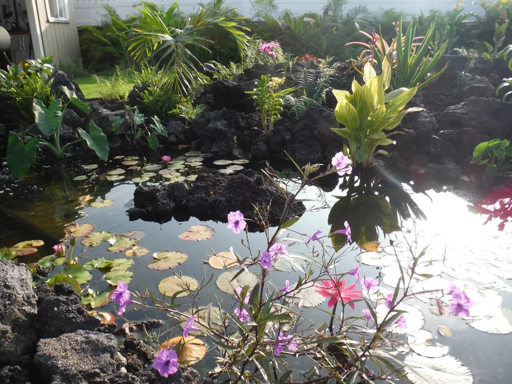 Trusted landscaping services experts serving Kailua-Kona, HI - Jason's Watergardens