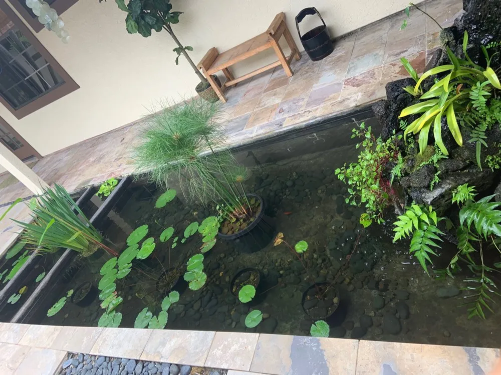 Trusted lawn care service in Kailua-Kona, HI - Jason's Watergardens