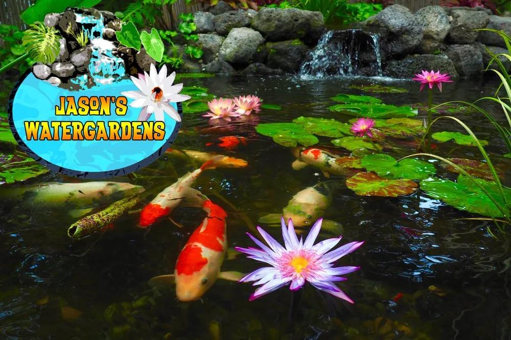 Expert lawn mowing service experts serving Kailua-Kona, HI - Jason's Watergardens