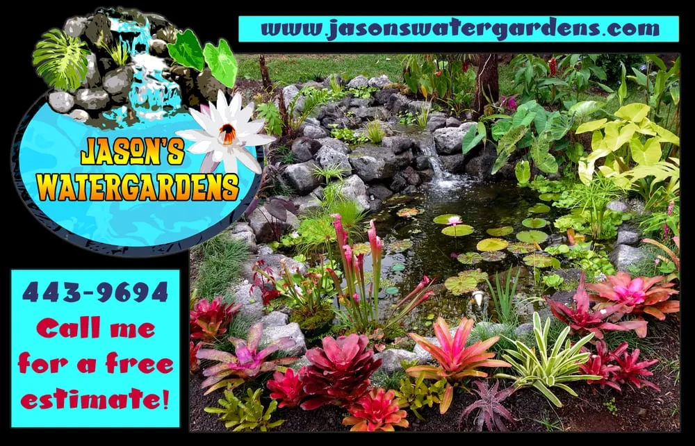 Custom outdoor landscaping in Kailua-Kona, HI by Jason's Watergardens