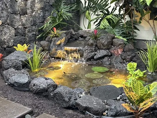 Jason's Watergardens Logo
