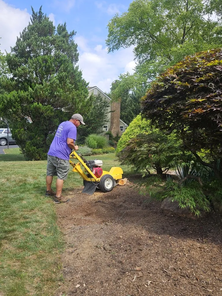 Top-rated garden landscaping for year-round maintenance in Macungie, PA by Jasper Gardening Service