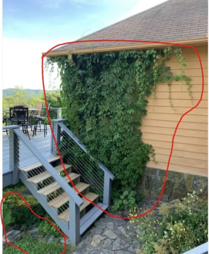 Local landscaping services for homes across Asheville, NC - Jasper’s Mark Lawn Care