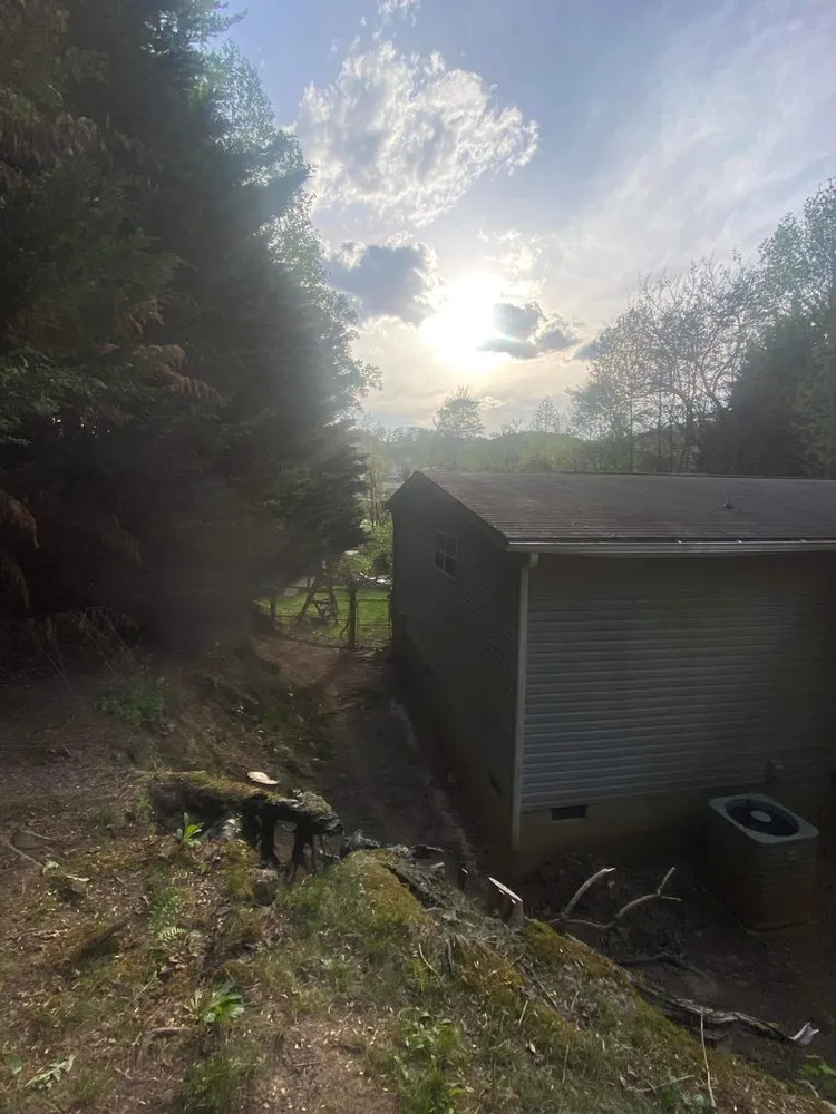 Local yard cleanup service in Asheville, NC by Jasper’s Mark Lawn Care