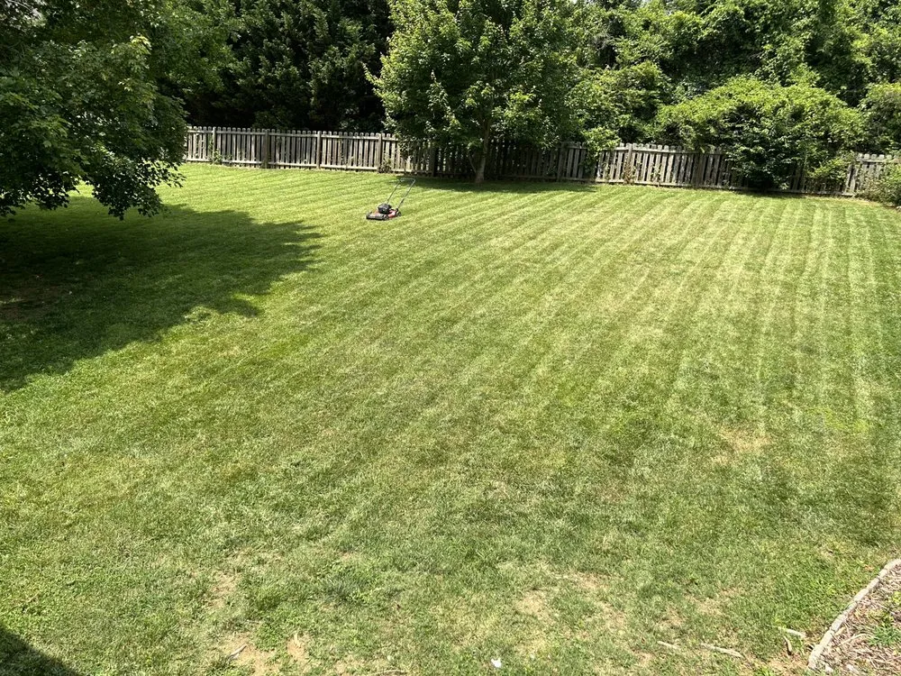 Trusted outdoor landscaping with custom design across Asheville, NC - Jasper’s Mark Lawn Care