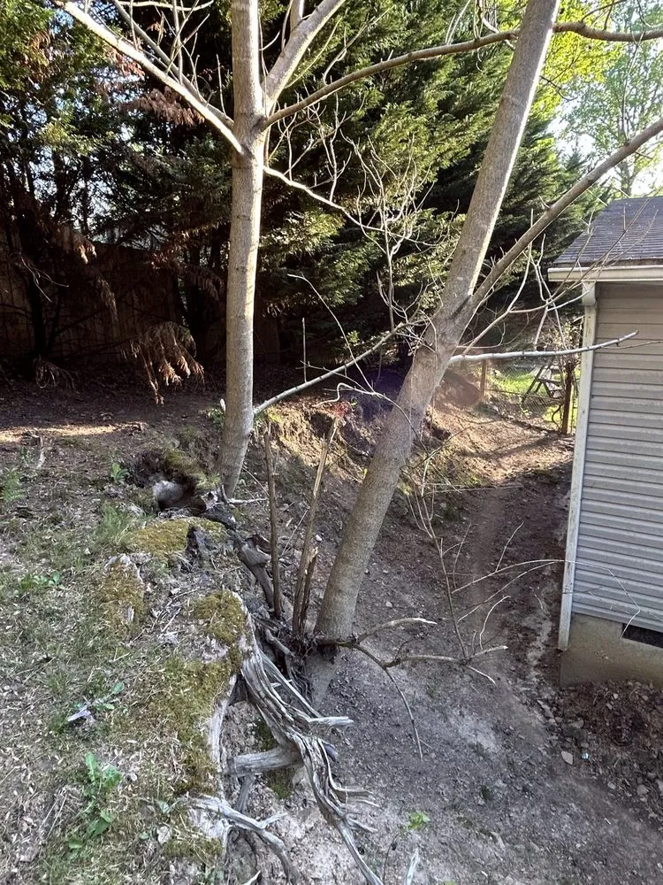 Reliable landscape design for beautiful yards across Asheville, NC - Jasper’s Mark Lawn Care