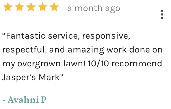 Expert lawn care service in Asheville, NC by Jasper’s Mark Lawn Care