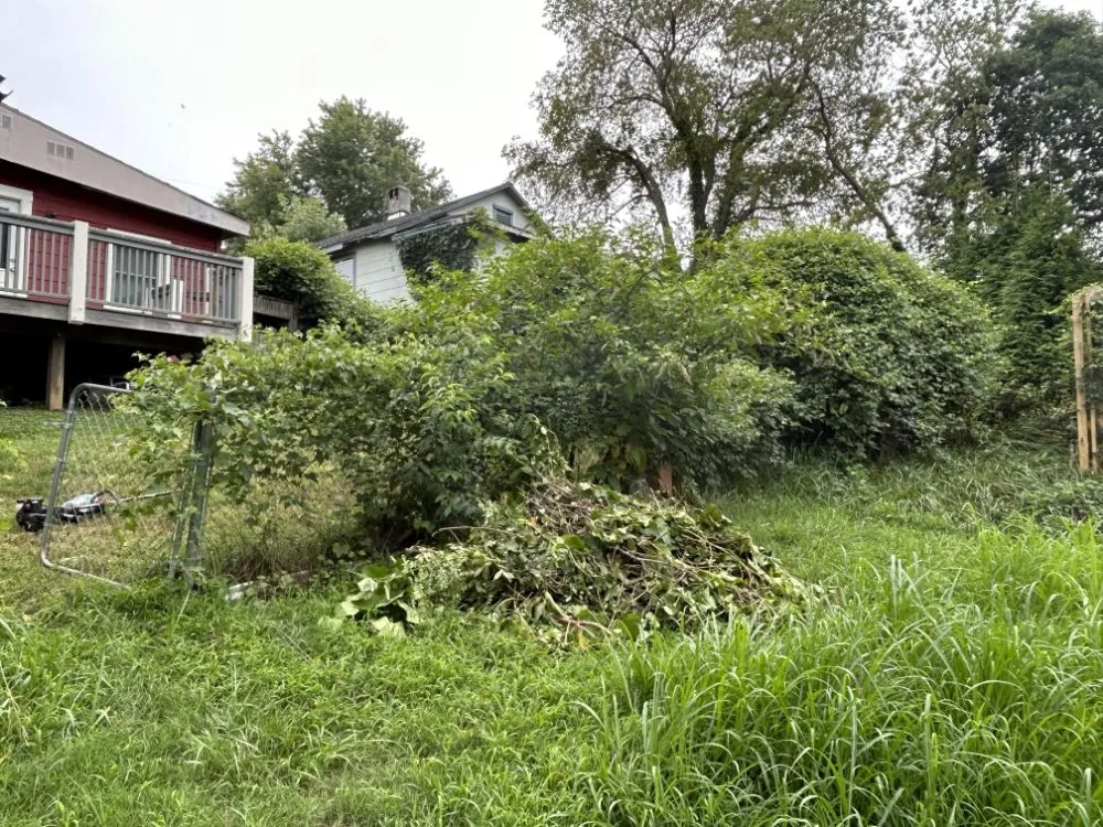 Professional outdoor landscaping near you in Asheville, NC by Jasper’s Mark Lawn Care