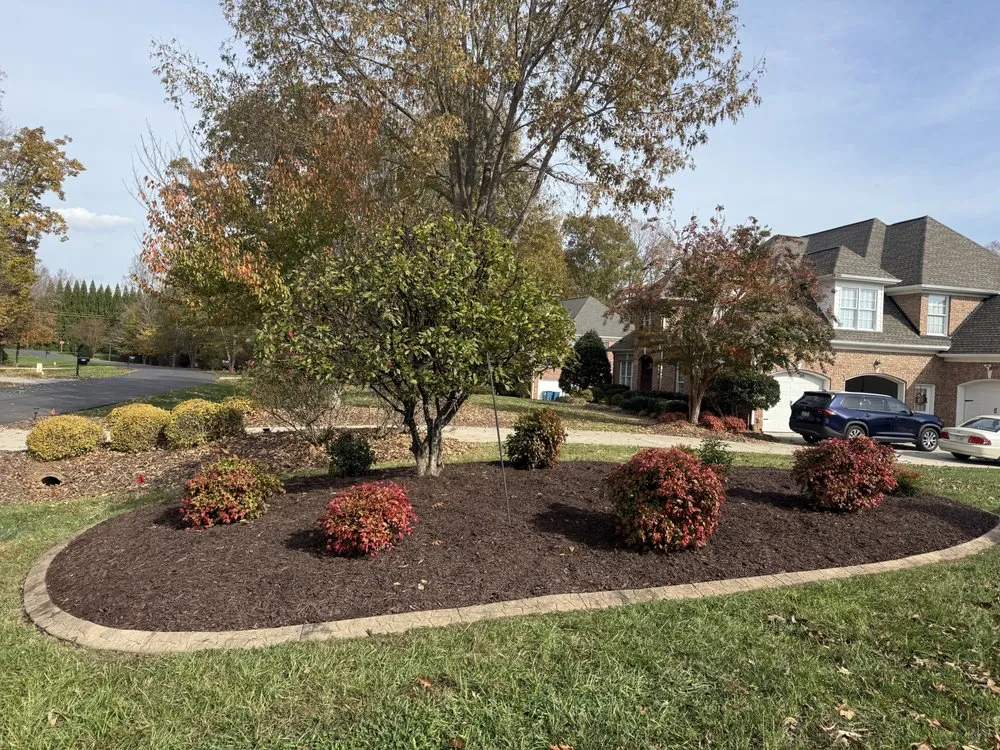 Expert yard cleanup service in Oak ridge, NC - Jasper’s Outdoor Solutions