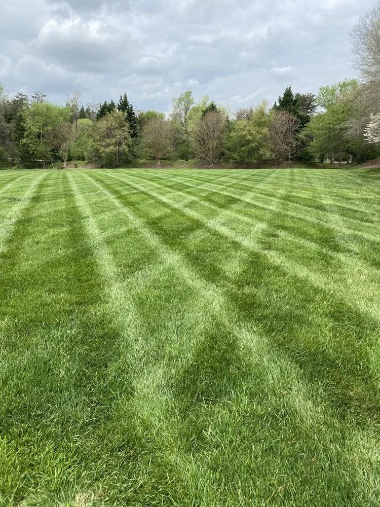 Reliable lawn care service for year-round maintenance across Oak ridge, NC - Jasper’s Outdoor Solutions