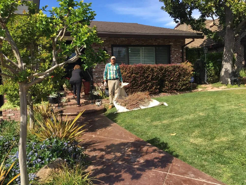 Expert landscape installation in Antelope, CA - Jass Gardening