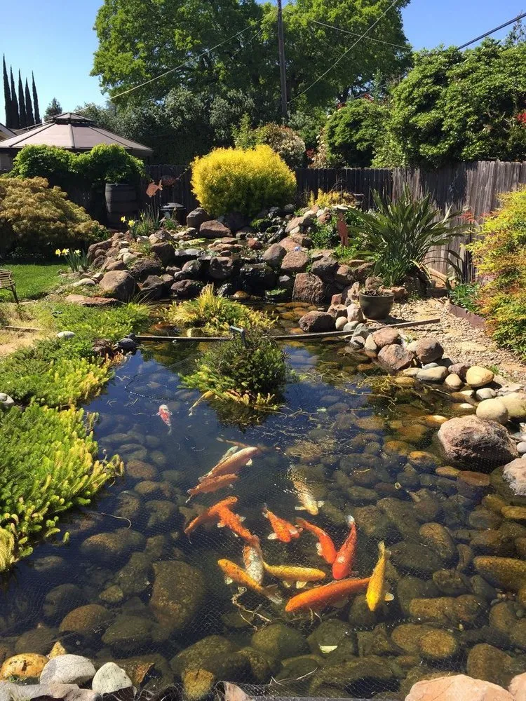 Trusted lawn care service in Antelope, CA by Jass Gardening