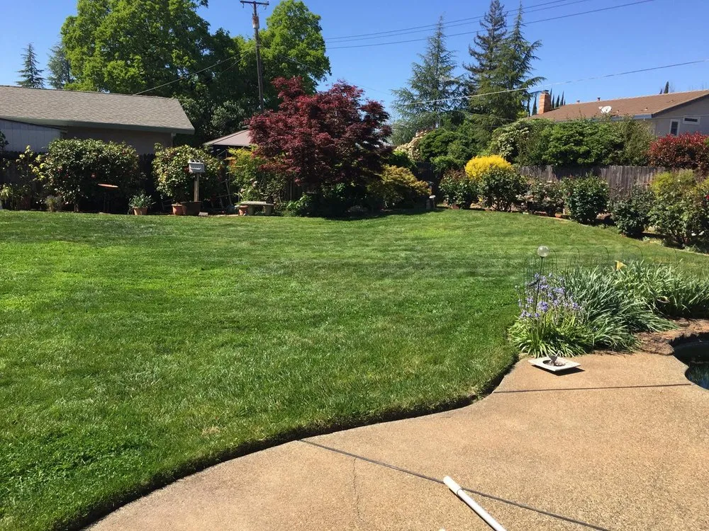 Trusted yard cleanup service experts serving Antelope, CA - Jass Gardening
