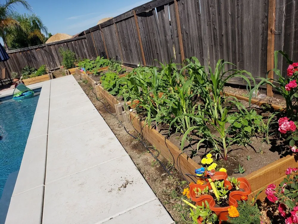 Top-rated lawn care service for homes across Antelope, CA - Jass Gardening