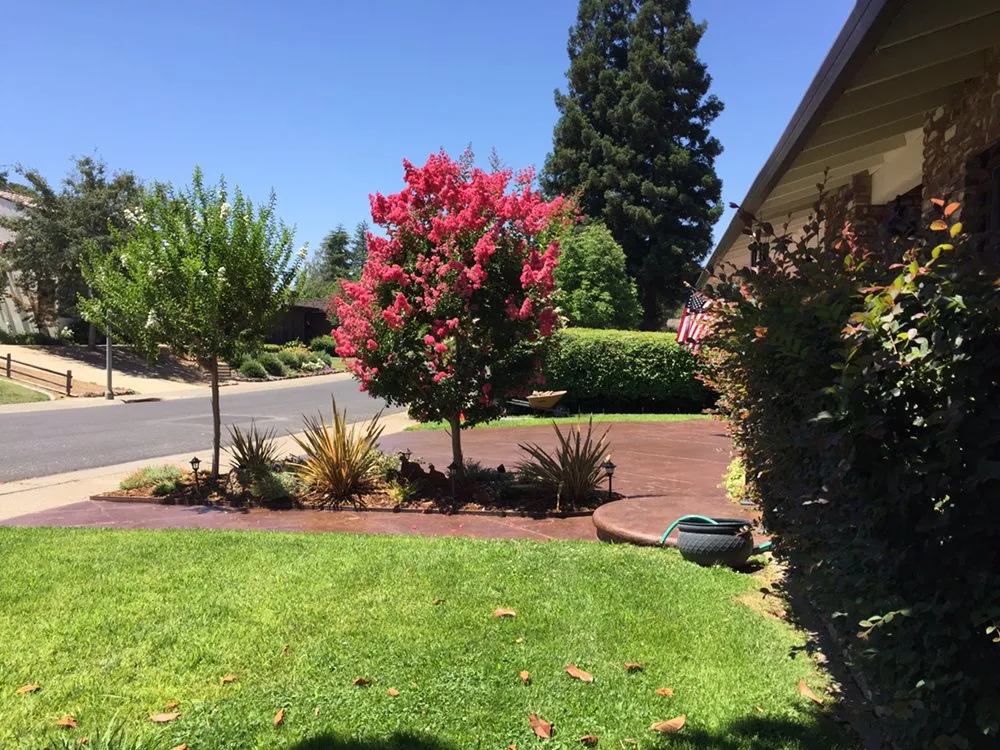 Professional outdoor landscaping experts serving Antelope, CA - Jass Gardening