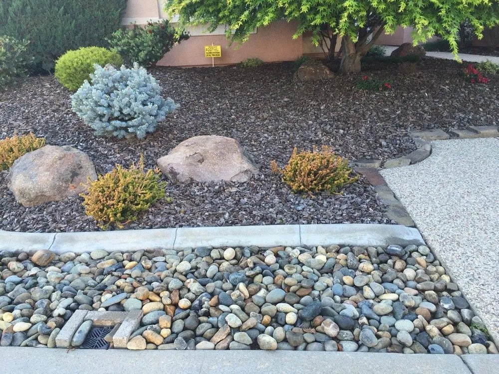 Custom lawn care service in Antelope, CA - Jass Gardening