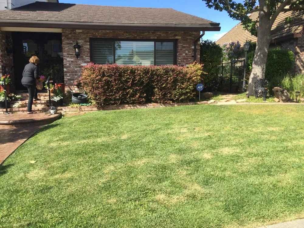 Trusted residential landscaping in Antelope, CA by Jass Gardening