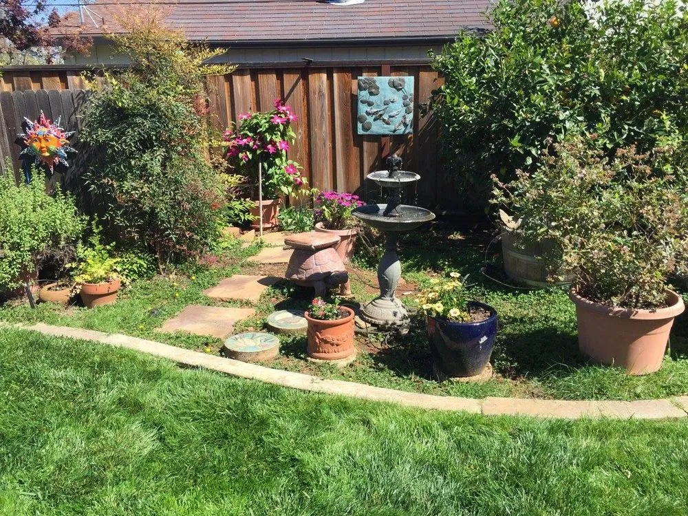 Professional lawn care service for outdoor upgrades across Antelope, CA - Jass Gardening