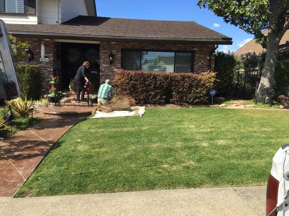 Custom residential landscaping in Antelope, CA - Jass Gardening