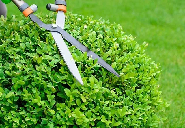 Local lawn mowing service with custom design across Trenton, NJ - Jass Lawn Service