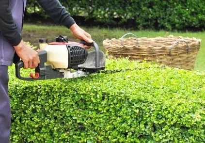 Expert landscape design experts serving Trenton, NJ - Jass Lawn Service