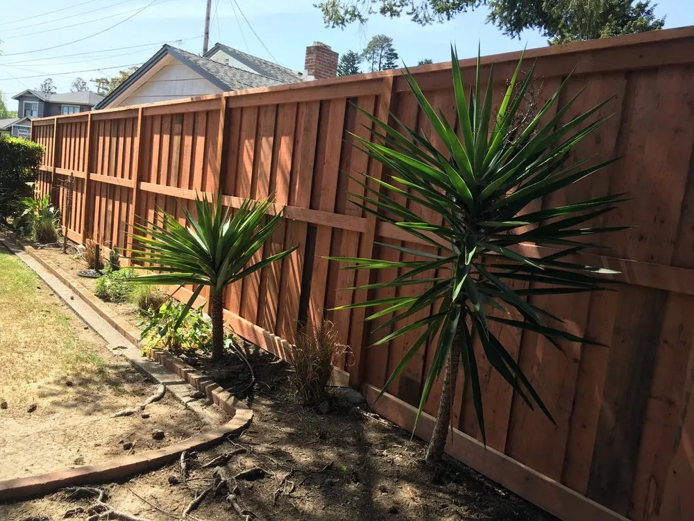 Local outdoor landscaping for year-round maintenance across Larkspur, CA - Jasso Landscaping