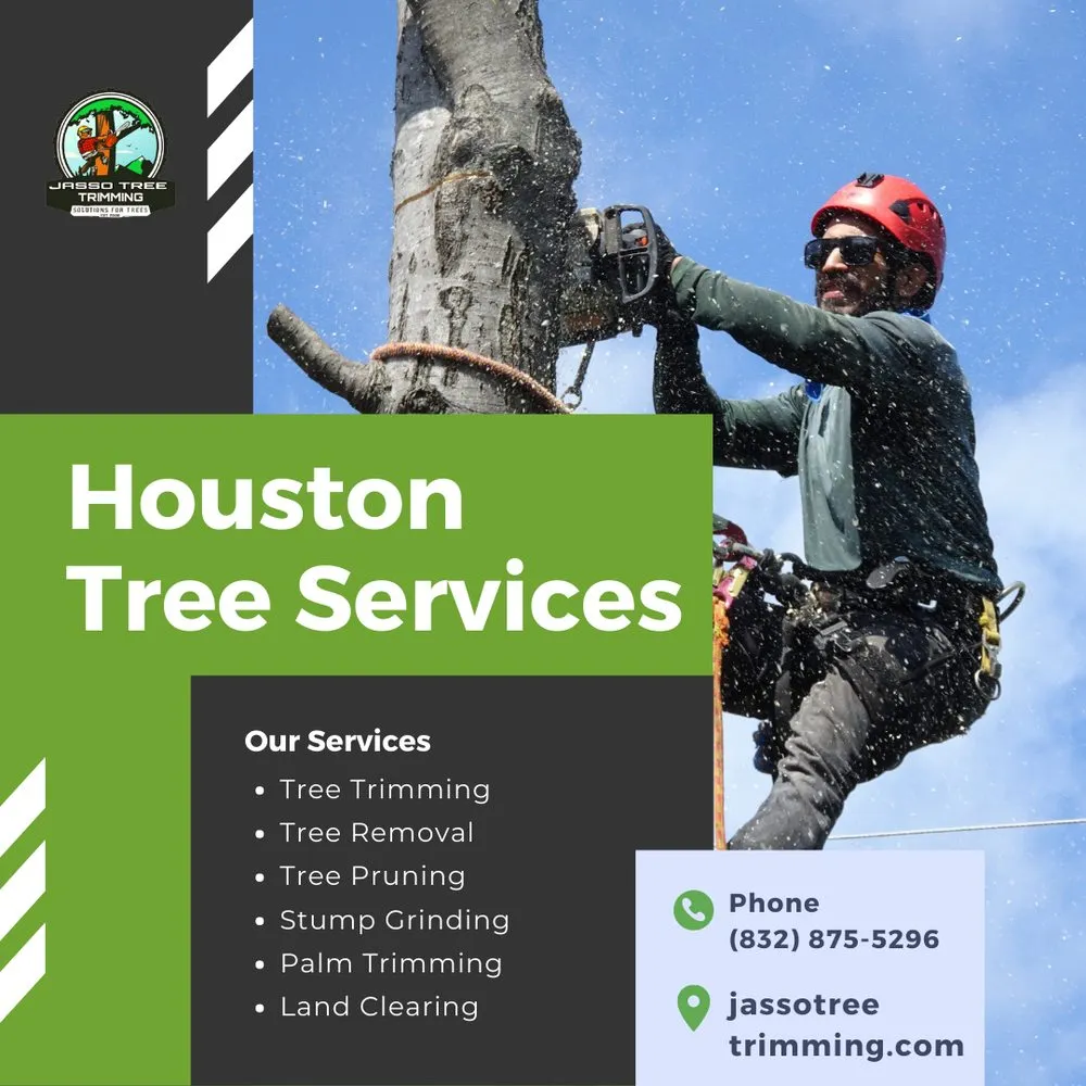 Trusted garden landscaping with custom design in Pasadena, TX by Jasso Tree Trimming