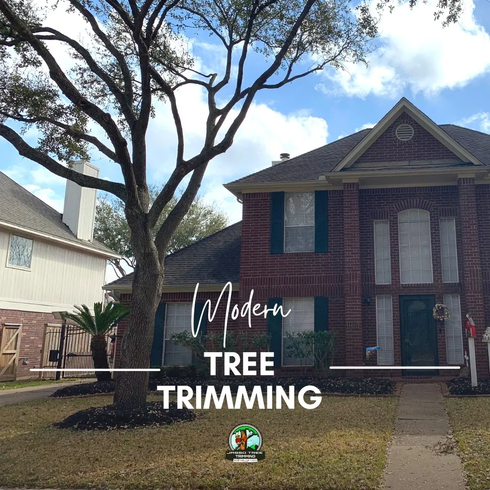 Reliable landscape installation with custom design across Pasadena, TX - Jasso Tree Trimming