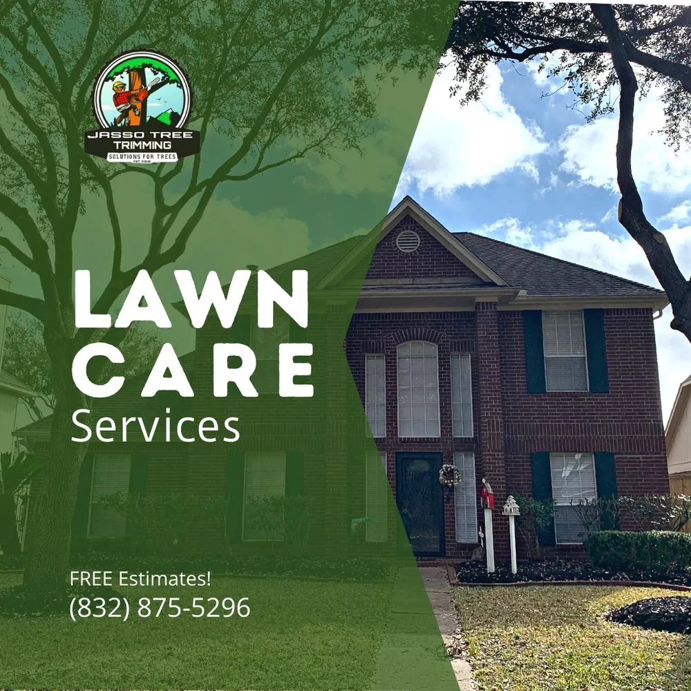 Local lawn mowing service experts serving Pasadena, TX - Jasso Tree Trimming