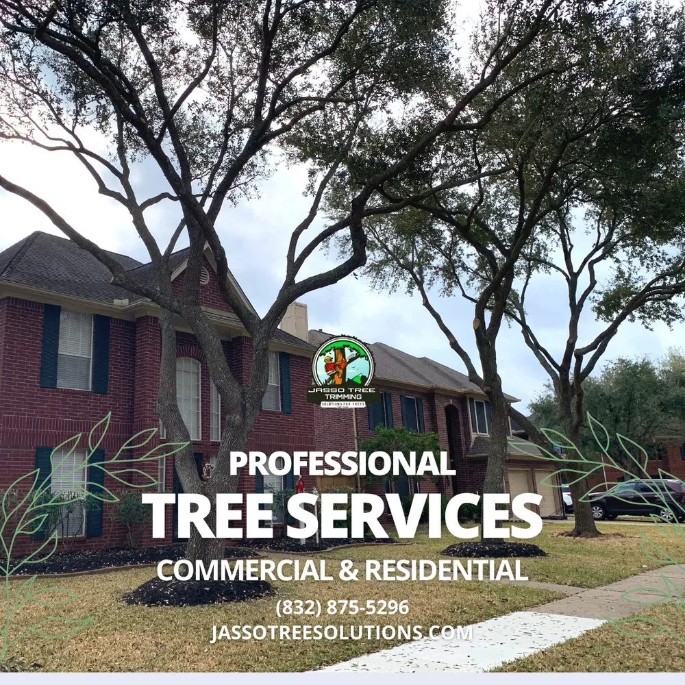Expert lawn mowing service in Pasadena, TX by Jasso Tree Trimming
