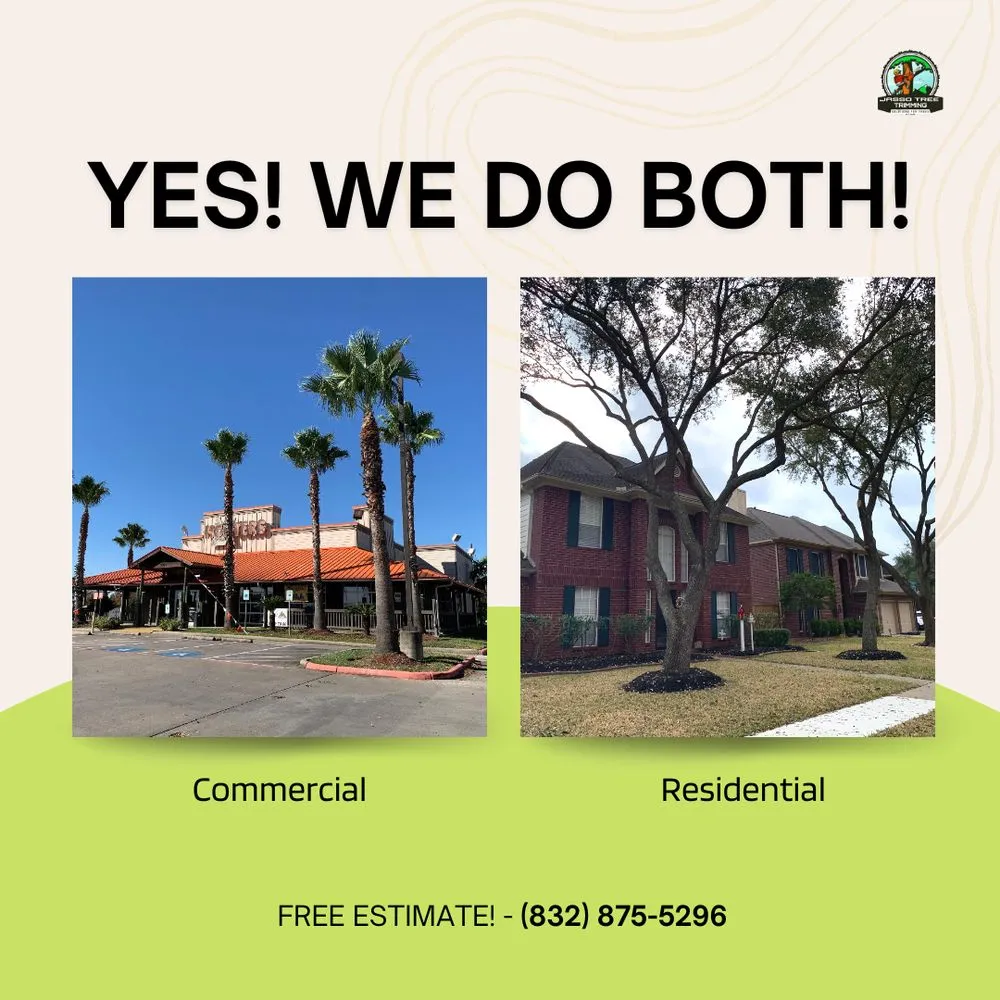 Reliable landscaping services in Pasadena, TX by Jasso Tree Trimming