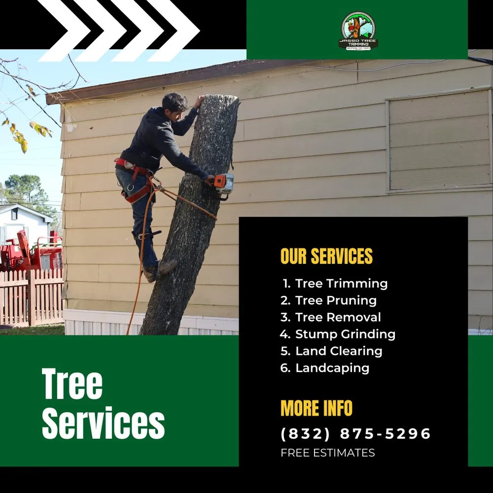 Top-rated yard maintenance experts serving Pasadena, TX - Jasso Tree Trimming