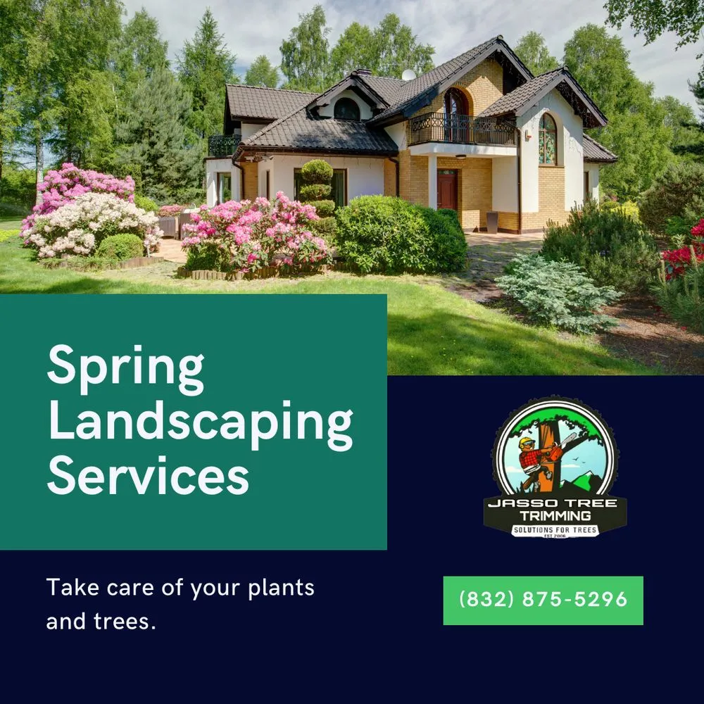 Professional landscape design in Pasadena, TX - Jasso Tree Trimming