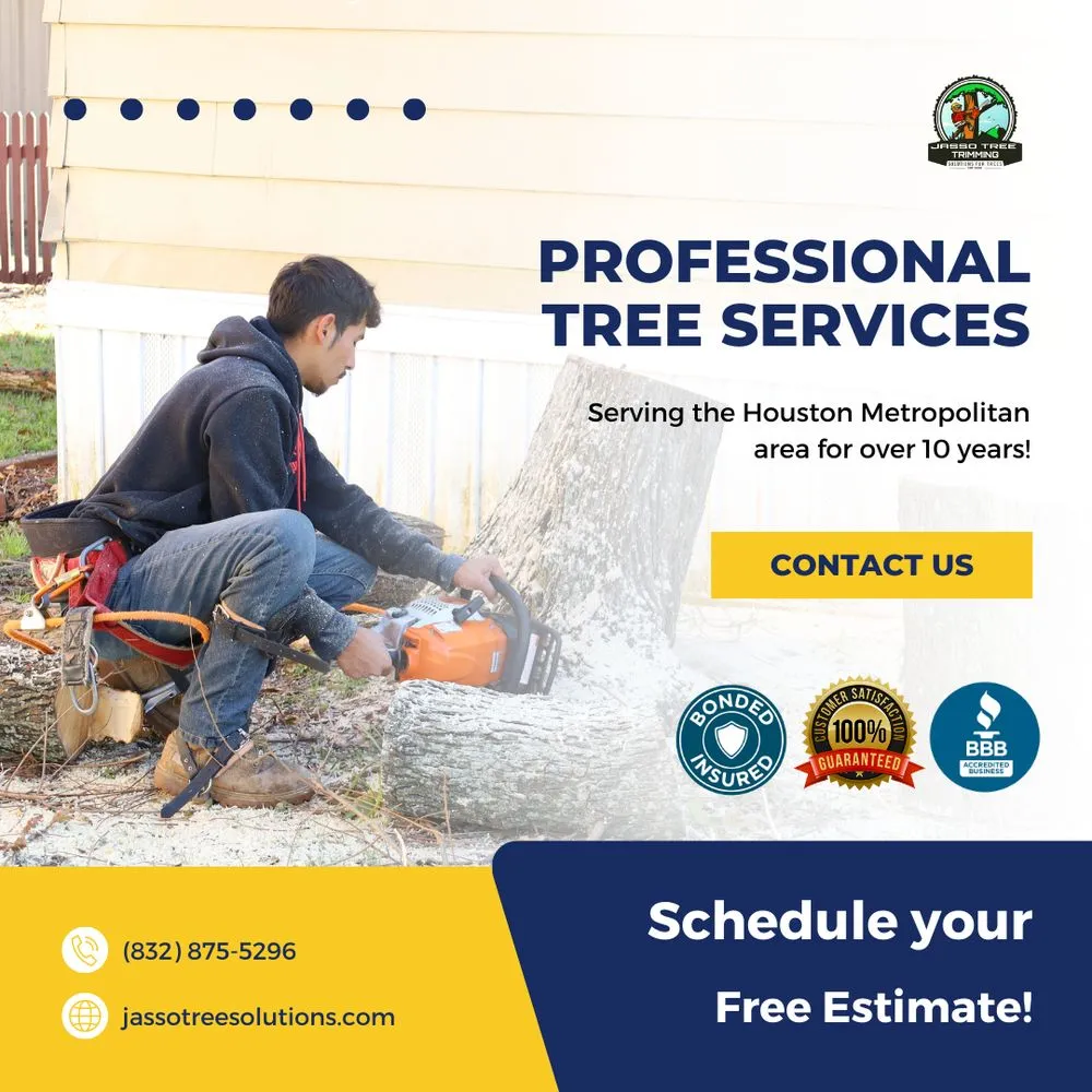 Custom yard maintenance in Pasadena, TX - Jasso Tree Trimming