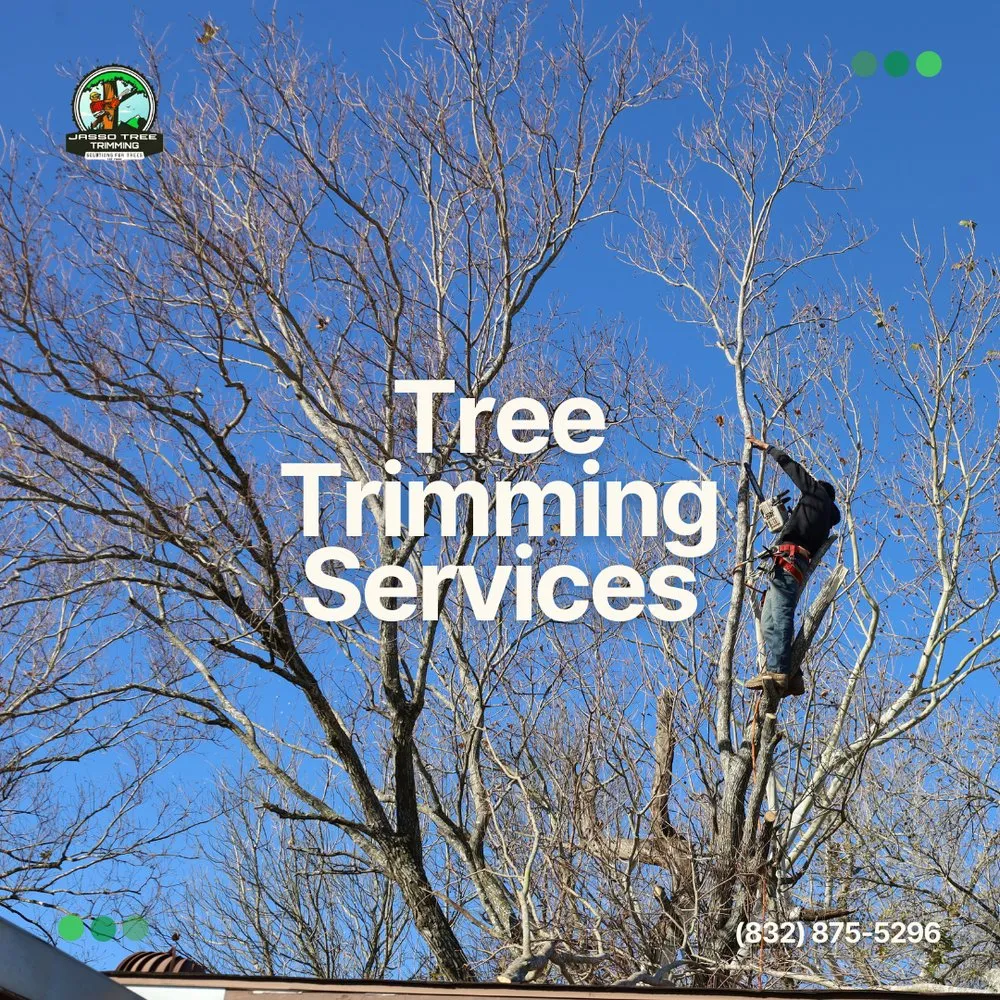 Affordable yard cleanup service for outdoor upgrades in Pasadena, TX by Jasso Tree Trimming