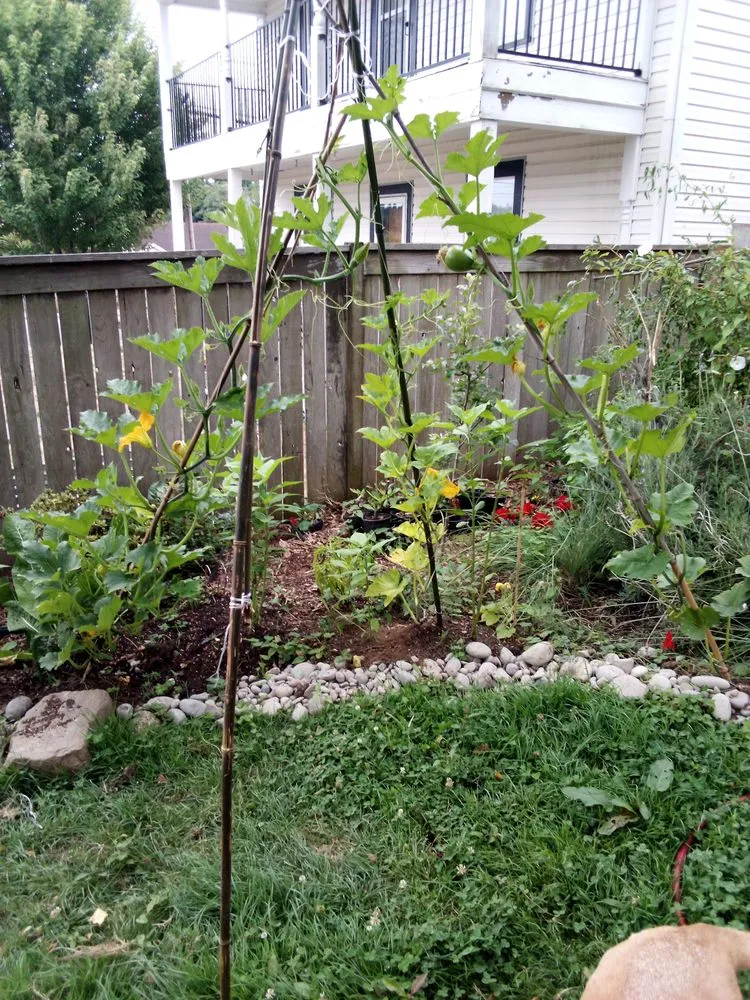 Expert residential landscaping in North Bend, OR - Jasson's Permaculture and More