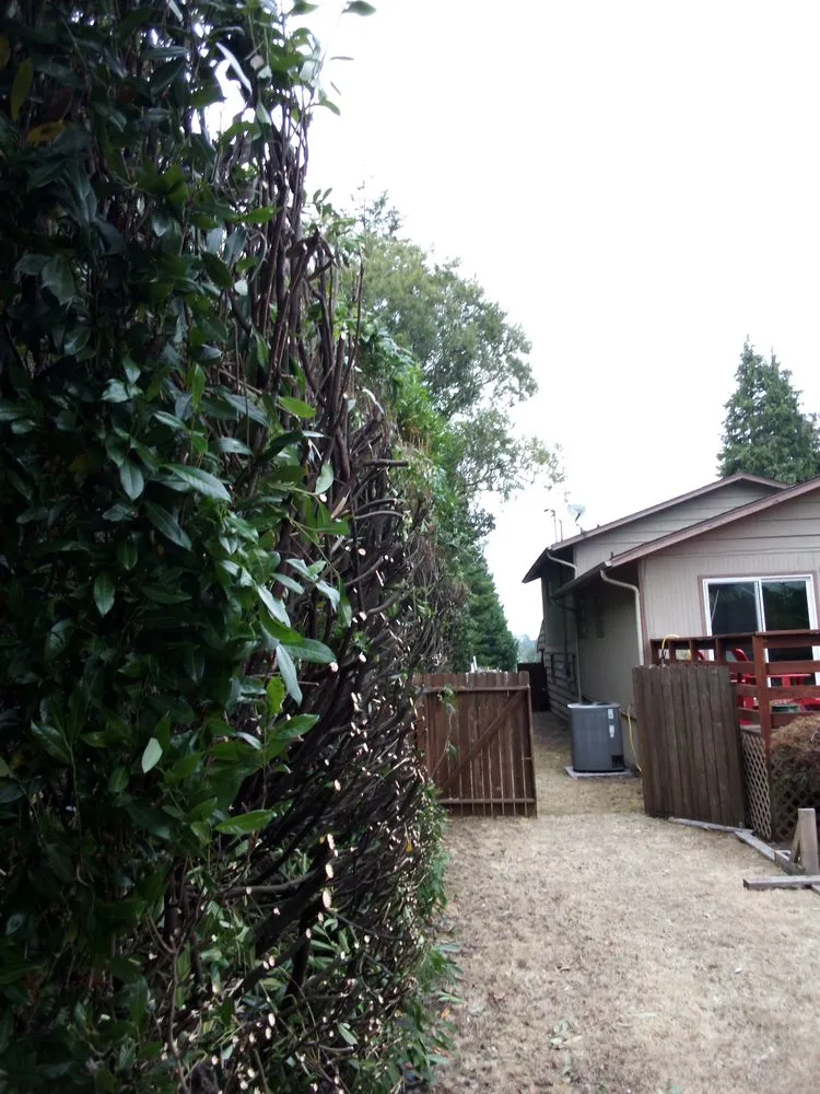 Local garden landscaping in North Bend, OR by Jasson's Permaculture and More