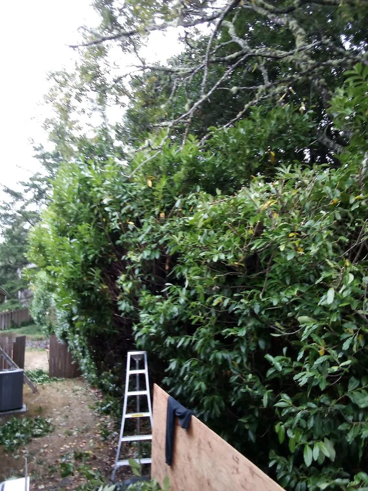 Affordable garden landscaping experts serving North Bend, OR - Jasson's Permaculture and More