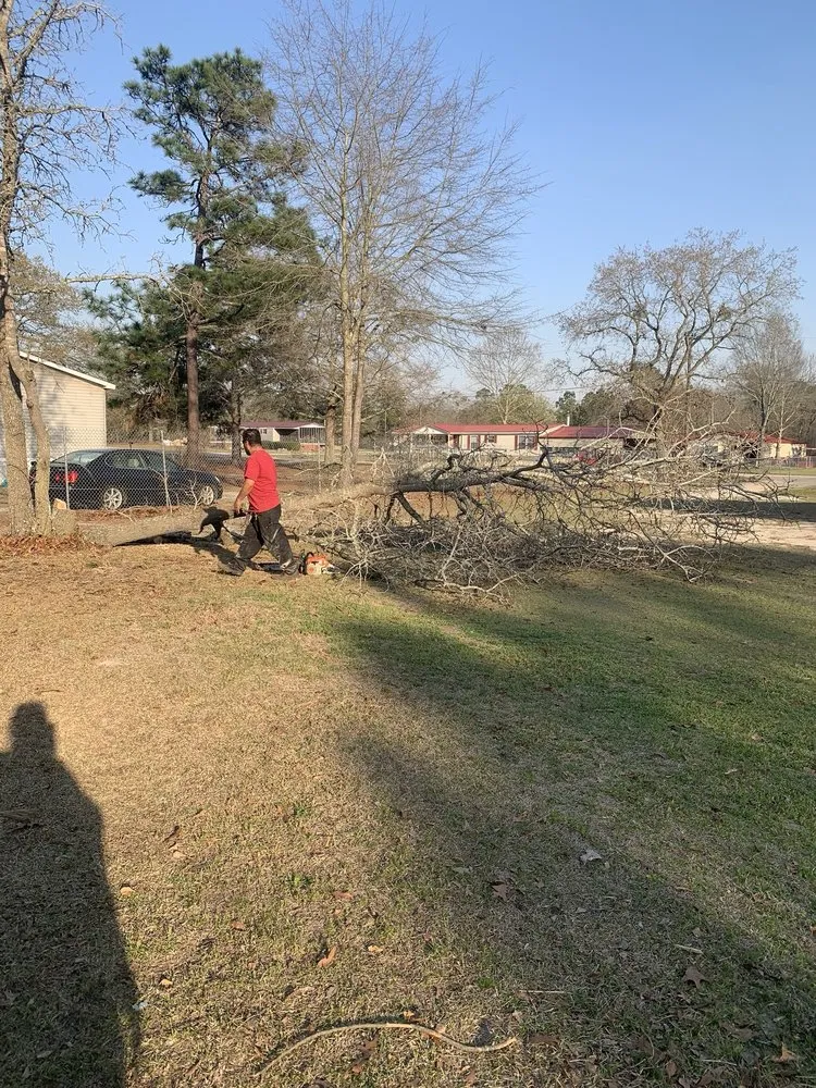 Trusted landscaping services for homes across Cassatt, SC - Jaurez Lawn & Tree Services