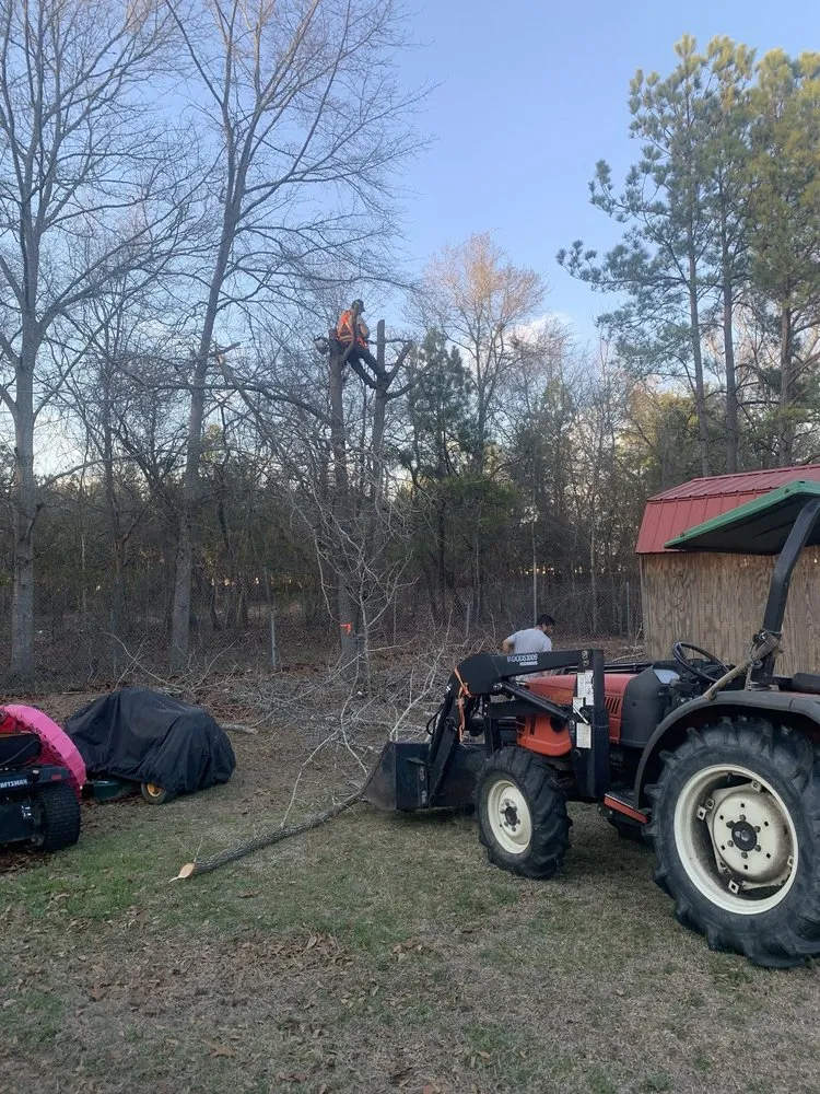 Local lawn care service for homes across Cassatt, SC - Jaurez Lawn & Tree Services