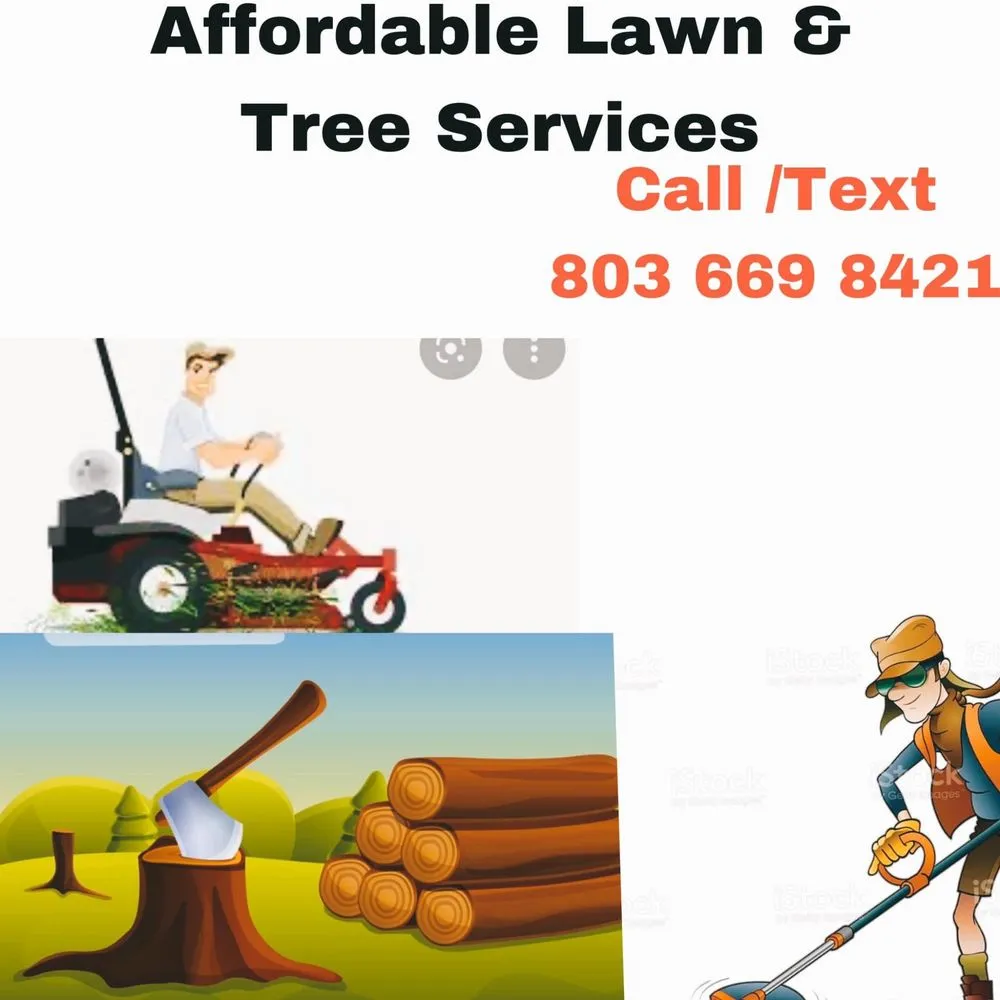 Expert lawn mowing service in Cassatt, SC by Jaurez Lawn & Tree Services