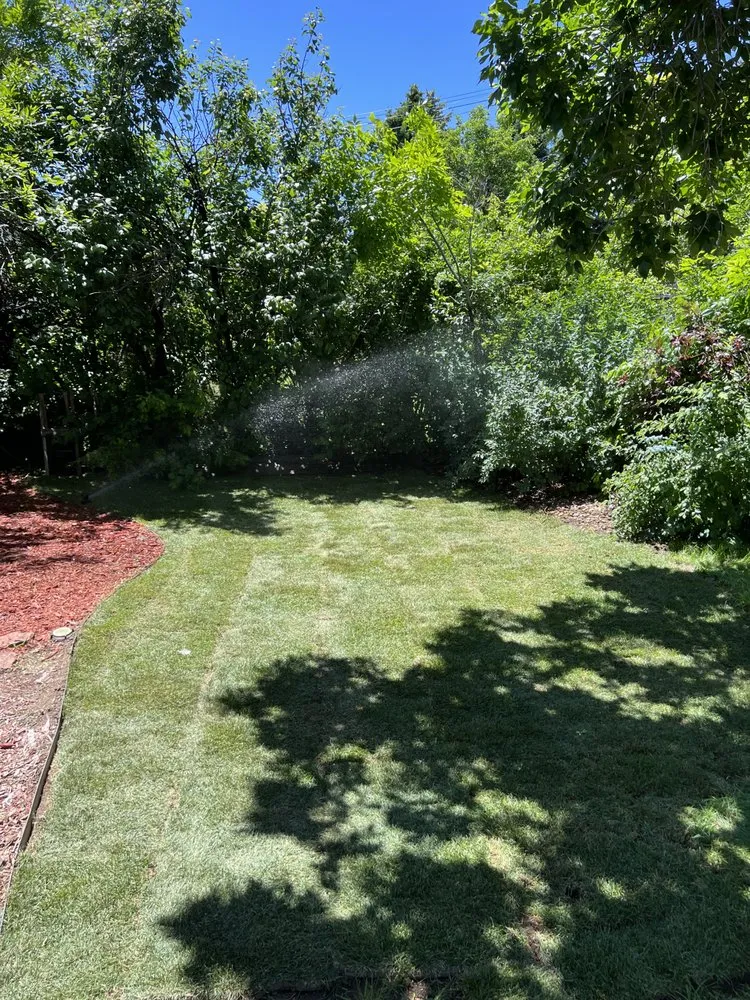 Trusted residential landscaping experts serving Littleton, CO - JAV Landscaping & Concrete