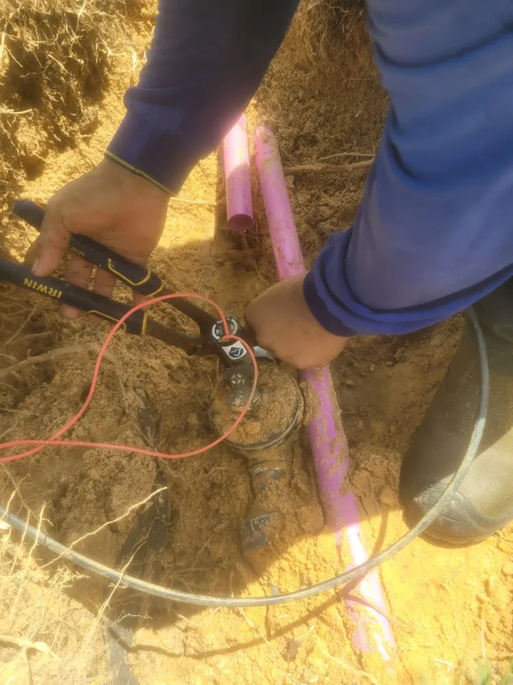 Trusted outdoor landscaping in Astatula, FL by Java Landscaping & Irrigation