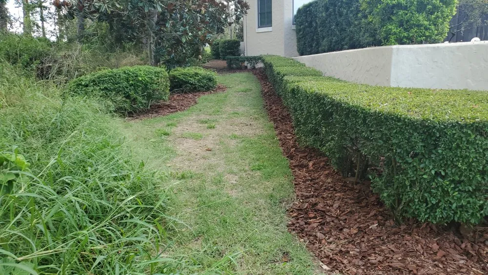 Affordable residential landscaping experts serving Astatula, FL - Java Landscaping & Irrigation