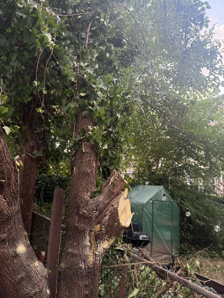 Trusted lawn care service experts serving Woodmere, NY - Javac Brothers