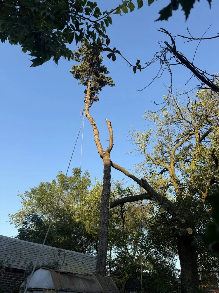 Top-rated outdoor landscaping in Woodmere, NY by Javac Brothers