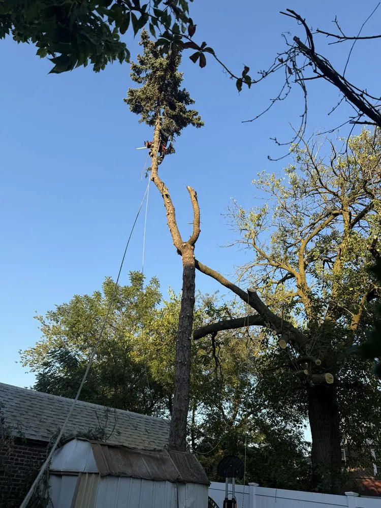 Affordable outdoor landscaping in Woodmere, NY - Javac Brothers