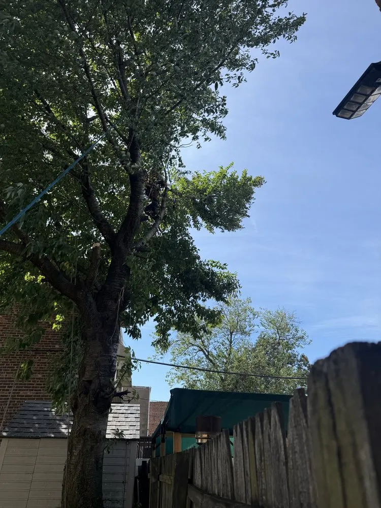 Trusted residential landscaping in Woodmere, NY by Javac Brothers