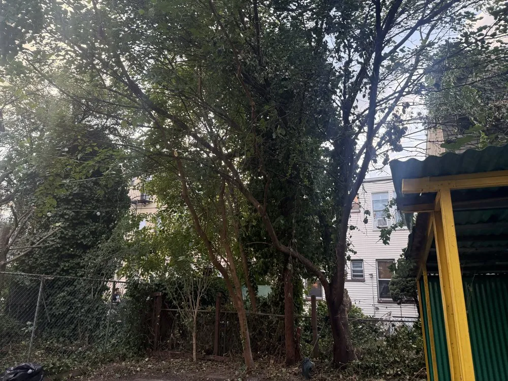 Professional outdoor landscaping in Woodmere, NY - Javac Brothers