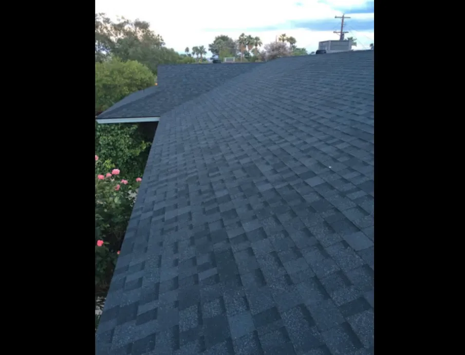 Expert yard cleanup service in El Paso, TX - Javco Remodeling